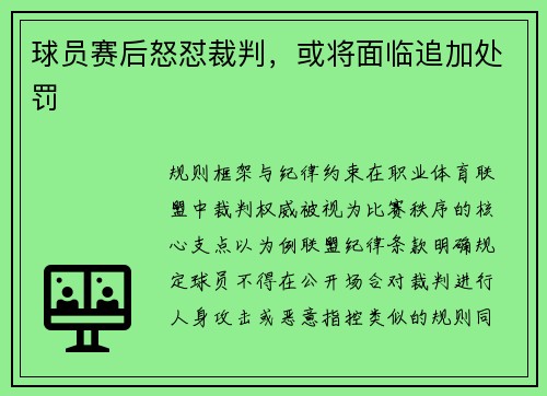 球员赛后怒怼裁判，或将面临追加处罚
